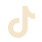Icono TikTok